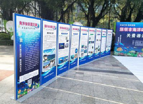 桐乡KT板的种类和知识。